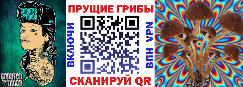 Псилоцибиновые грибы Cubensis  Йошкар-Ола 