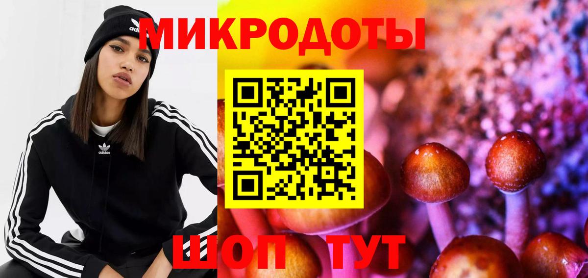 Галлюциногенные грибы Psilocybine cubensis Йошкар-Ола